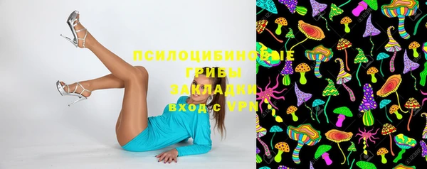 марки nbome Горняк